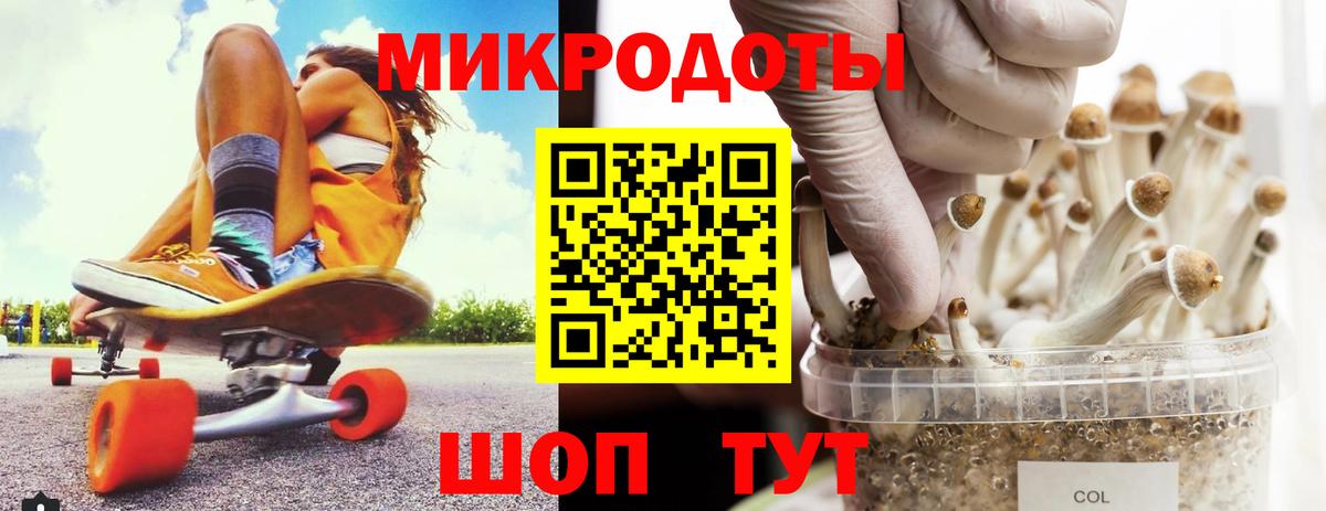 Галлюциногенные грибы мицелий Балахна
