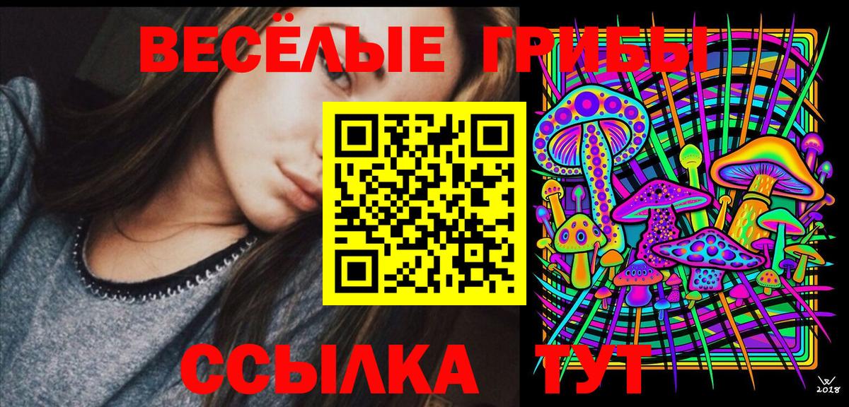 Балахна  Псилоцибиновые грибы Psilocybe  Вход с VPN  Галлюциногенные грибы мухоморы 